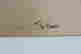 item-111614168=5