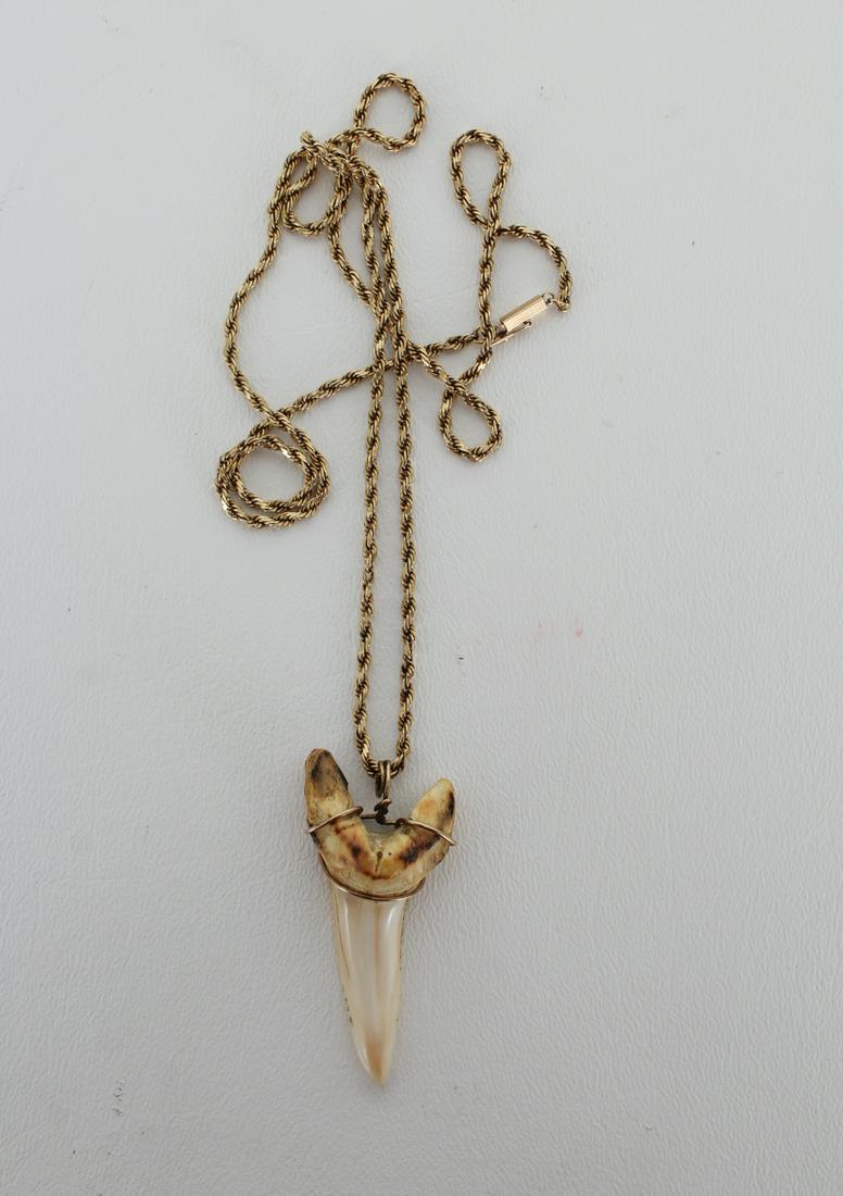 14K Gold Necklace w/ Sharks Tooth Pendant: 14K Gold Necklace w/ Sharks Tooth Pendant. Stamped on clasp. Chain Length: 29 in. Chain Weight: 10 dwt Pendant Weight: 7.9 g