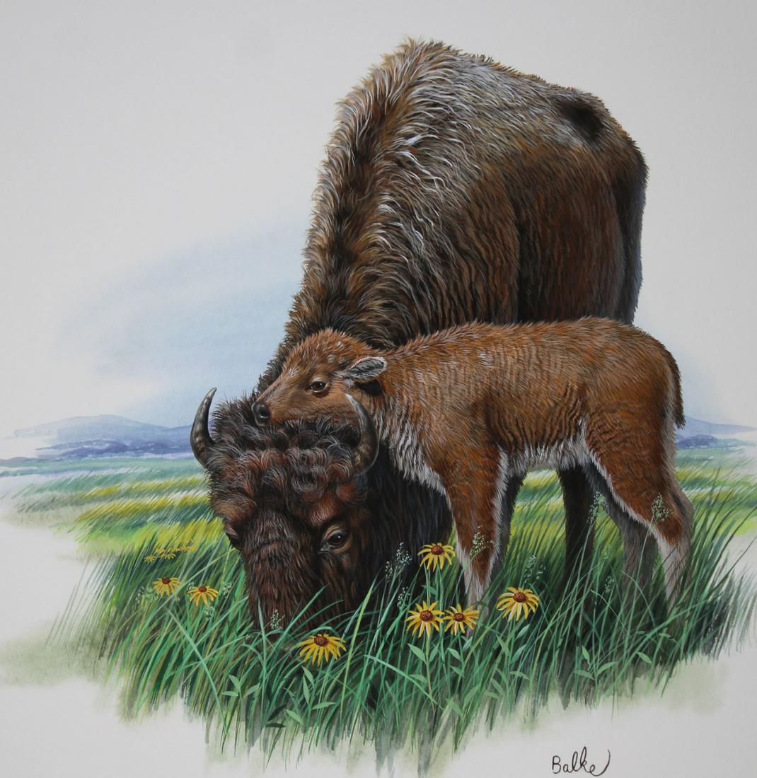 Don Balke (B. 1933) "American Bison" Original (1 of 4)