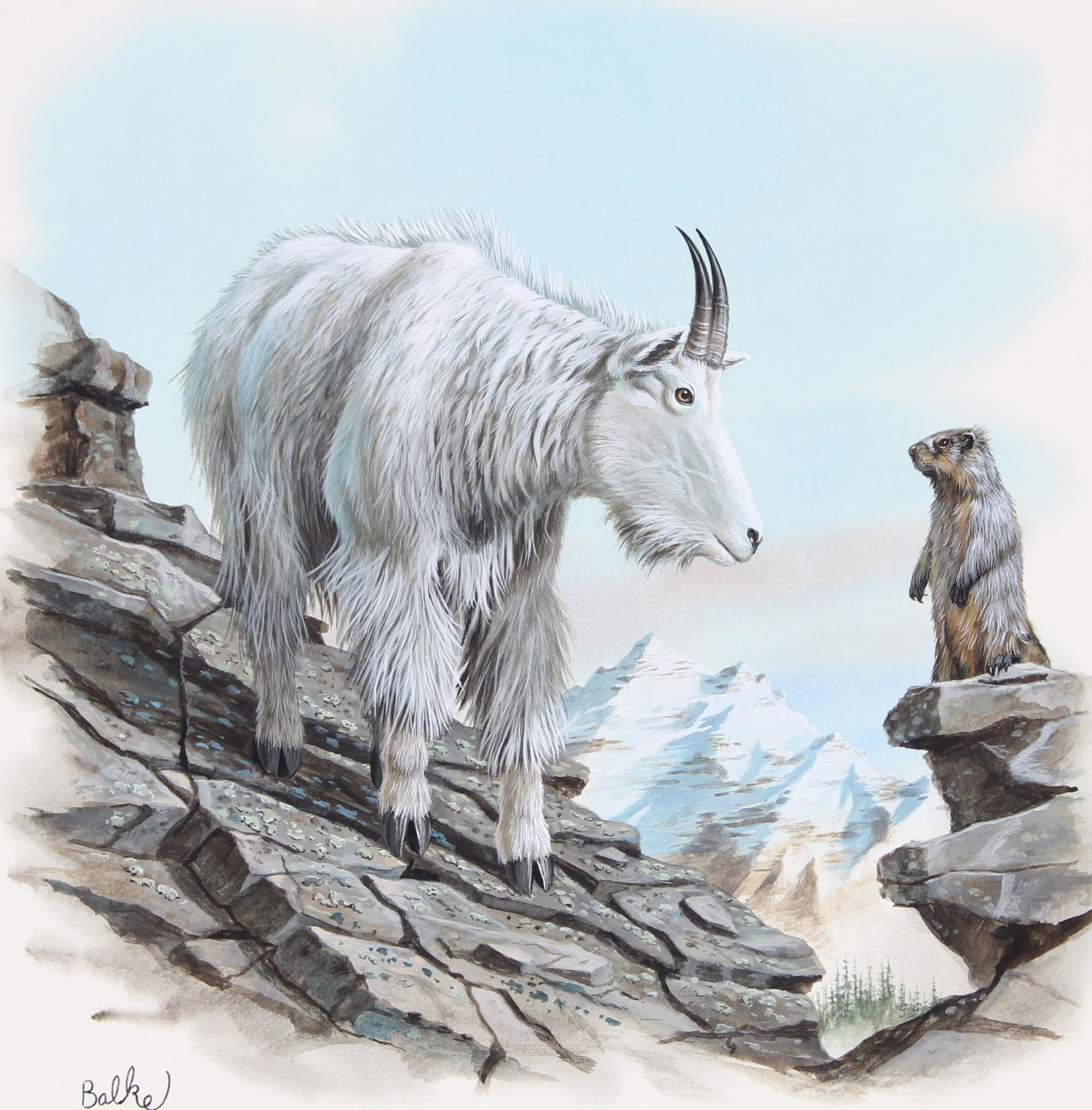 Don Balke (B. 1933) "Mountain Goat" Watercolor (1 of 4)