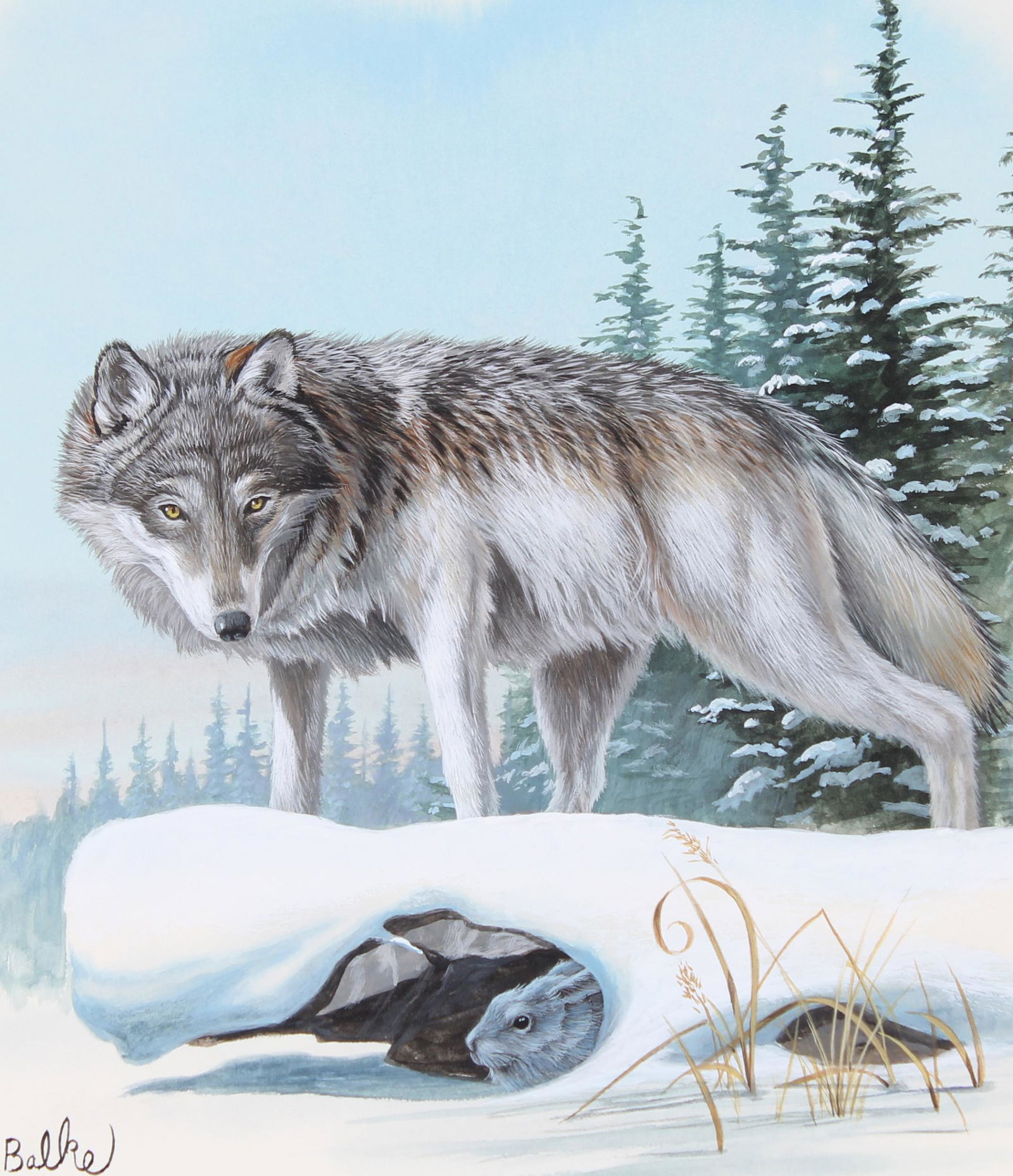 Don Balke (B. 1933) "Gray Wolf" Watercolor (1 of 4)