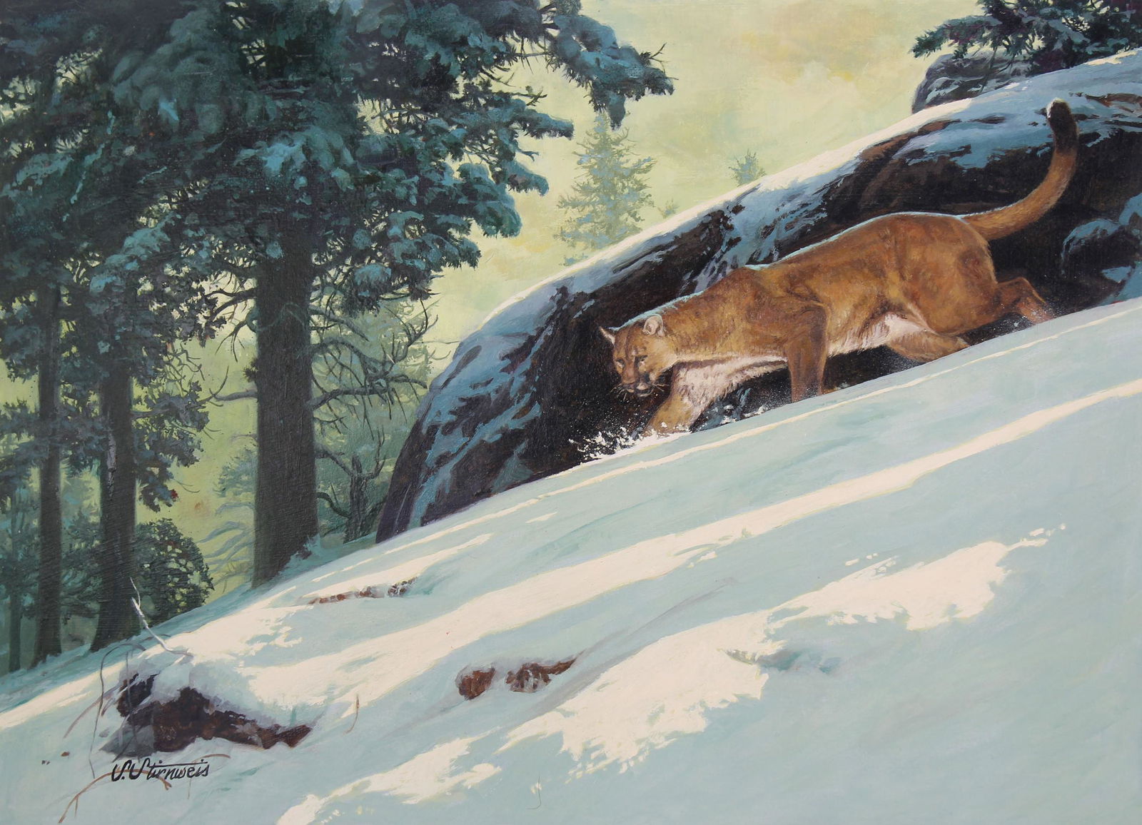 Shannon Stirnweis (B. 1931) "Mountain Lion" Oil (1 of 3)