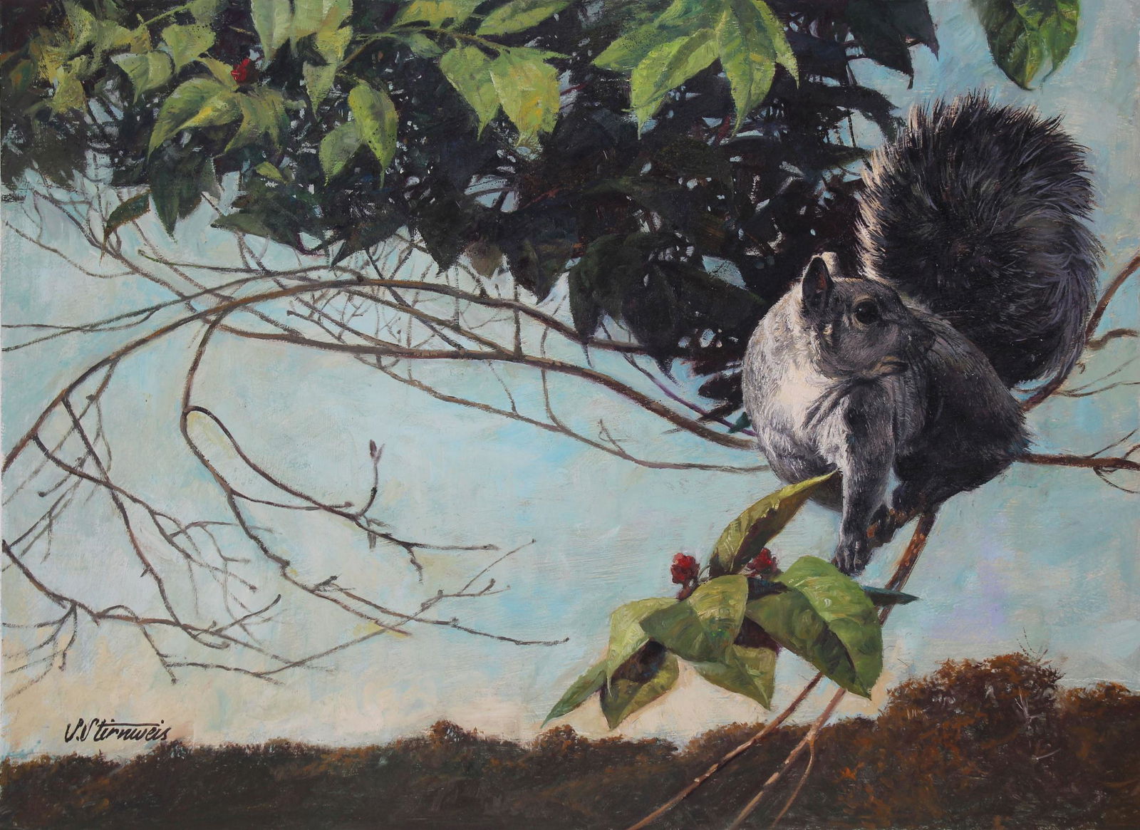 Shannon Stirnweis (B. 1931) Gray Squirrel, Oil (1 of 4)