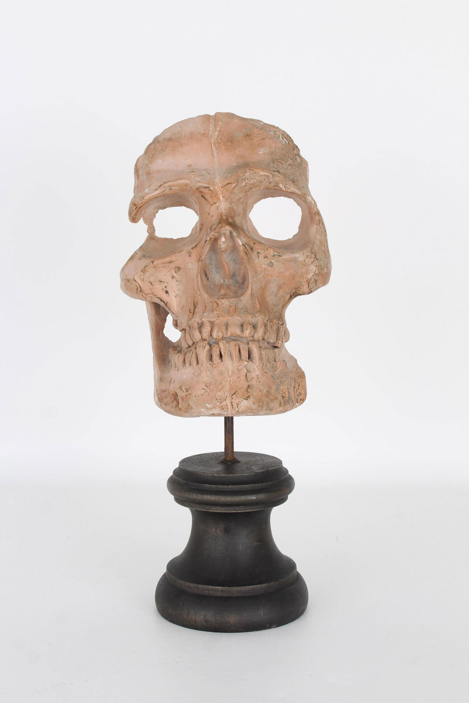 19th C. Terra Cotta Memento Mori Skull (1 of 4)