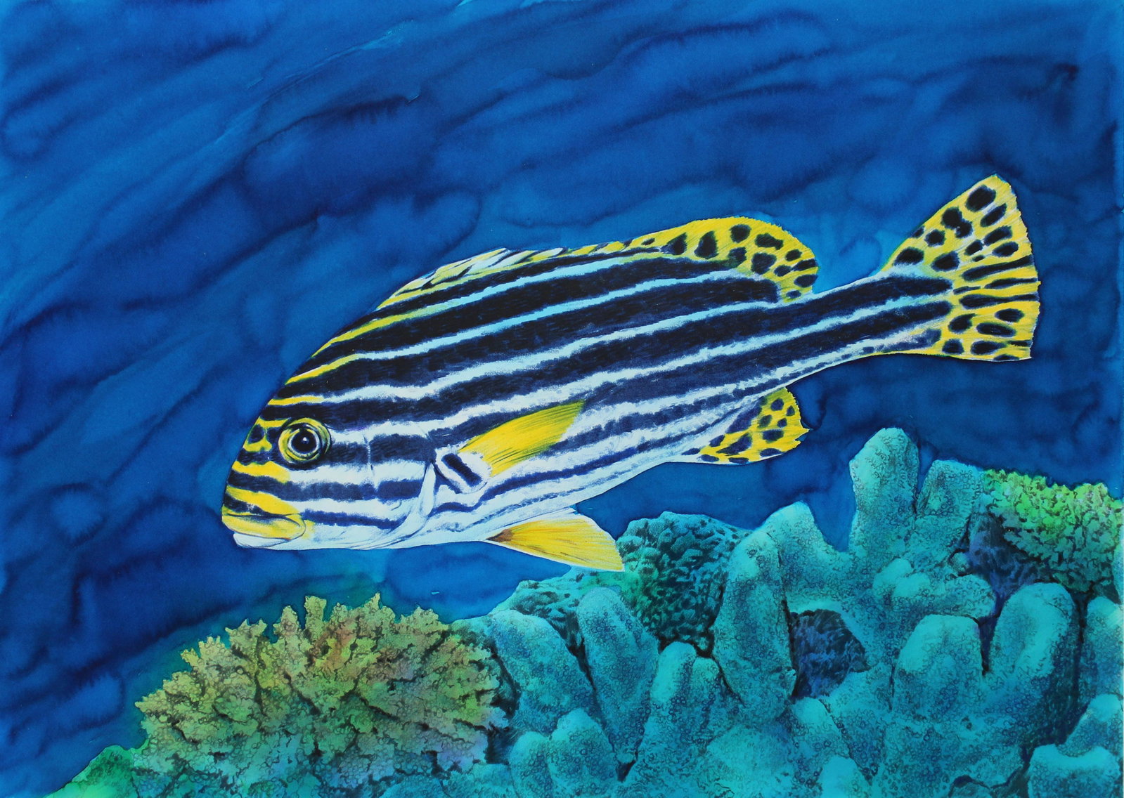 Chris Calle (B. 1961) "Oriental Sweetlips" Orig: Chris Calle (American, B. 1961) "Oriental Sweetlips" Signed lower right. Original Mixed Media painting on Illustration Board. Provenance: Collection of James A. Helzer (1946-2008), Founder of Unicover