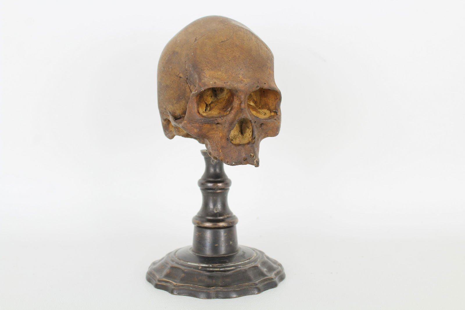 Neapolitan Gesso Carving of a Memento Mori Skull: 19th Century Neapolitan Gesso Carving of a Memento Mori Skull on Metal Base. Dimensions: 5.75 x 2.25 in.