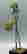 item-129587386=2