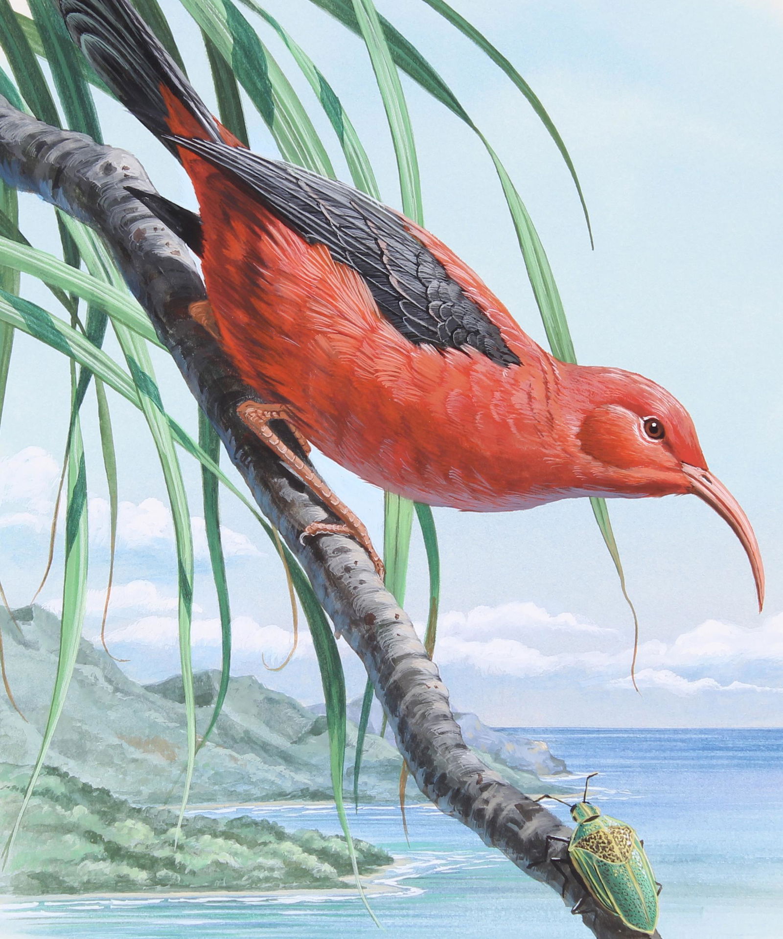 Don Balke (B. 1933) "Liwi" Original Watercolor: Don Balke (North Carolina, B. 1933) "Liwi" Signed lower left. Original Watercolor on Illustration Board. Provenance: Collection of James A. Helzer (1946-2008), Founder of Unicover Corporation. This pa