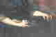 item-129587533=3