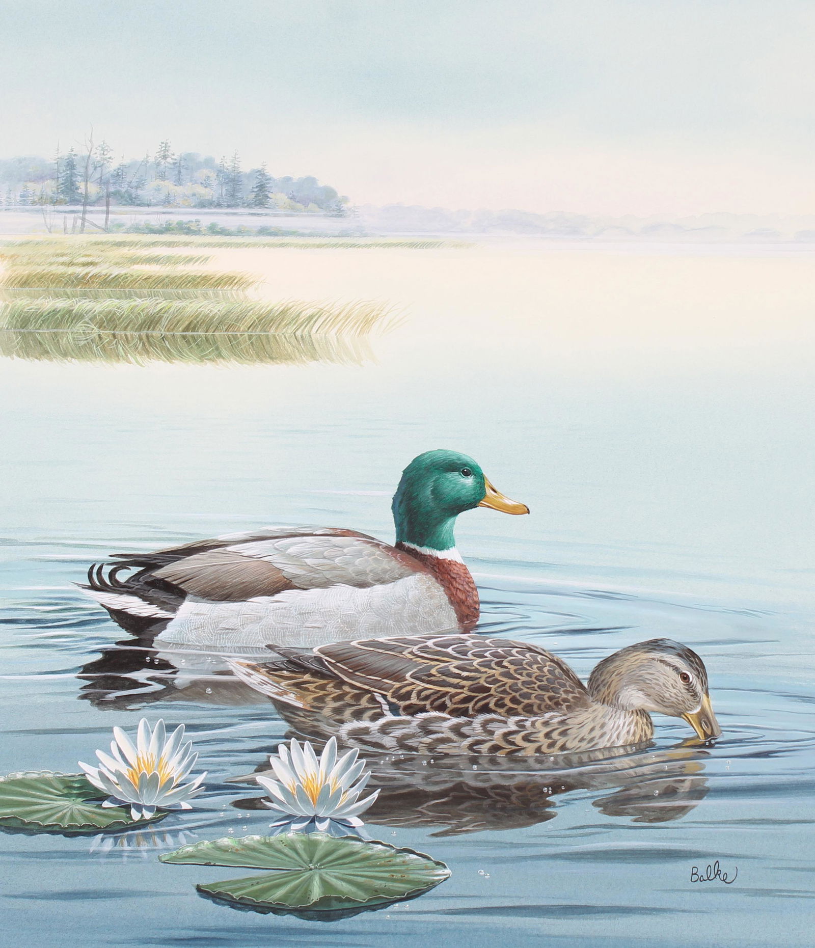 Don Balke (B 1933) "European Mallards" Original WC (1 of 6)