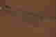 item-136457138=8