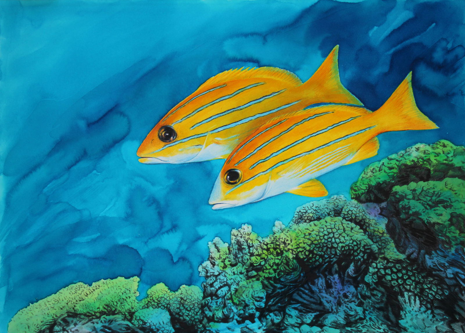 Chris Calle (B. 1961) "Bluelined Snapper": Chris Calle (American, B. 1961) "Bluelined Snapper" Signed lower right. Original Watercolor on Illustration Board. Provenance: Collection of James A. Helzer (1946-2008), Founder of Unicover Corporatio