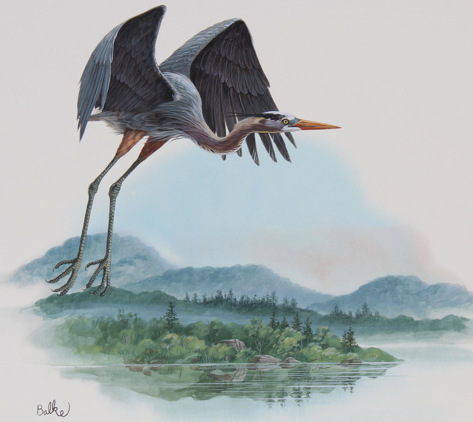Don Balke (B. 1933) "Great Blue Heron": Don Balke (North Carolina, B. 1933) "Great Blue Heron" Signed lower left. Original Watercolor painting on Illustration Board. Provenance: Collection of James A. Helzer (1946-2008), Founder of Unicover