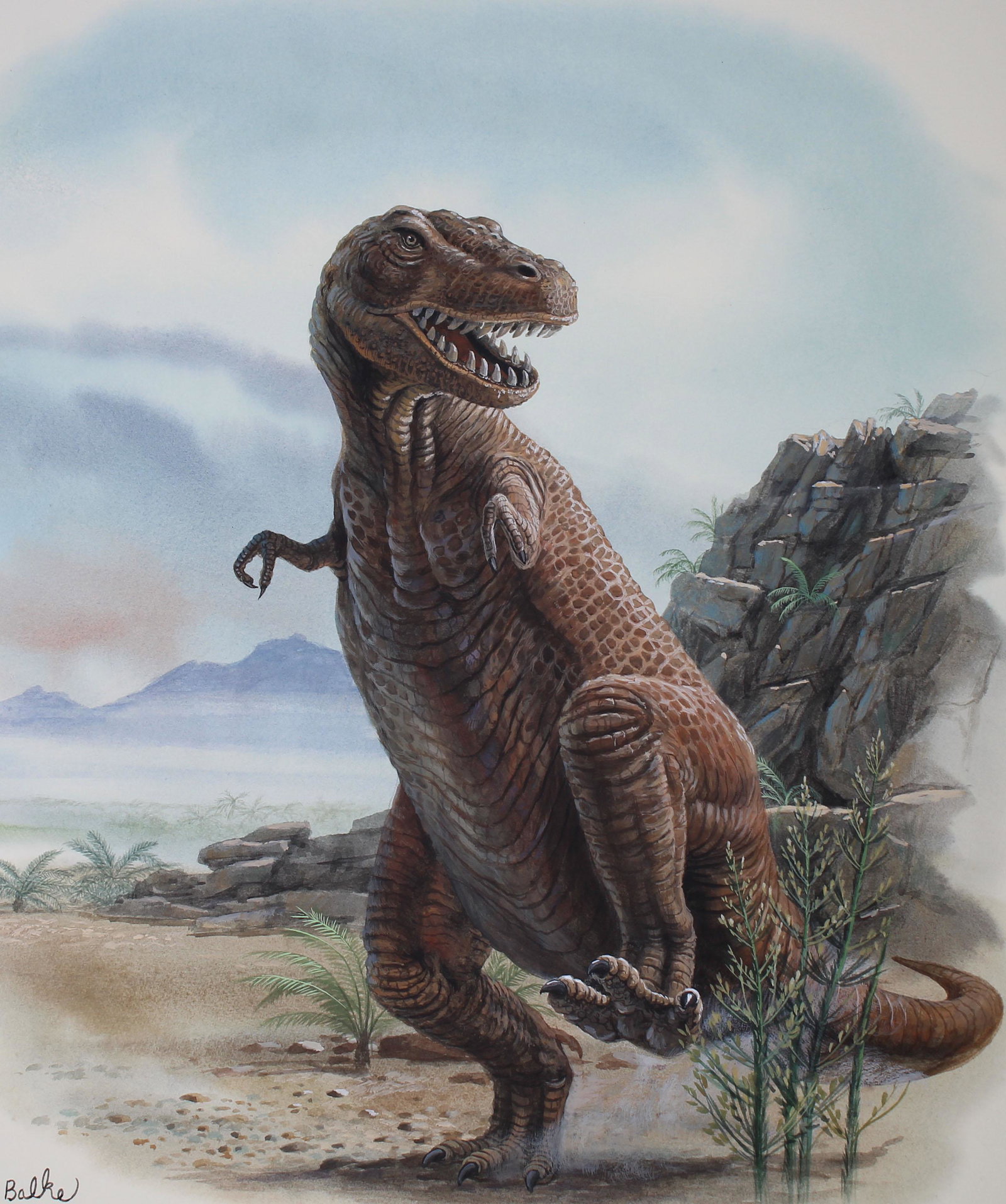 Don Balke (B. 1933) "Tyrannosaurus": Don Balke (North Carolina, B. 1933) "Dinosaur/Tyrannosaurus" Signed lower left. Original Watercolor on Illustration Board. Provenance: Collection of James A. Helzer (1946-2008), Founder of Unicover Co