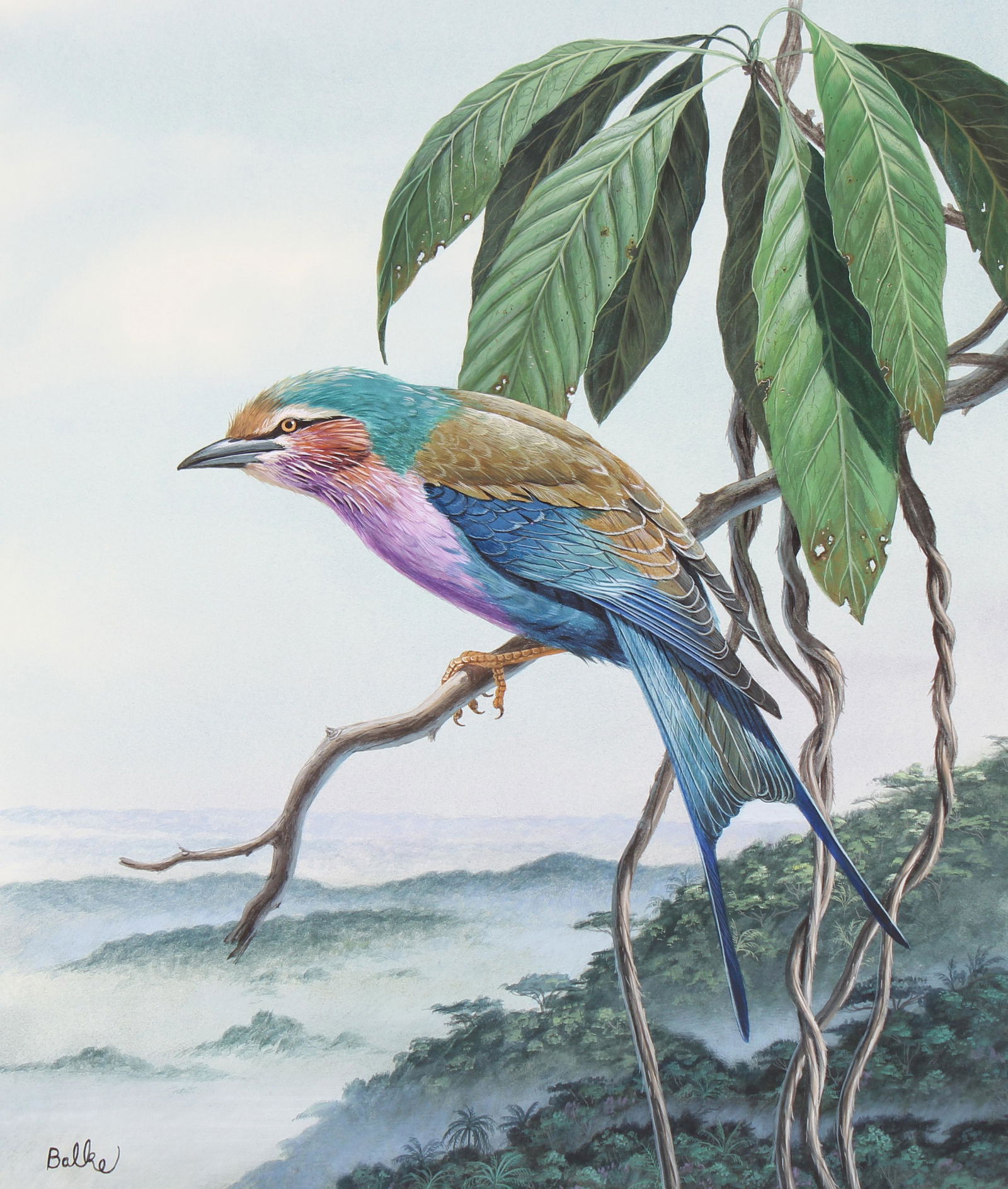 Don Balke (B. 1933) "Lilac-breasted Roller Bird": Don Balke (North Carolina, B. 1933) "Lilac-breasted Roller Bird" Signed lower left. Original Watercolor on Illustration Board. Provenance: Collection of James A. Helzer (1946-2008), Founder of Unicove