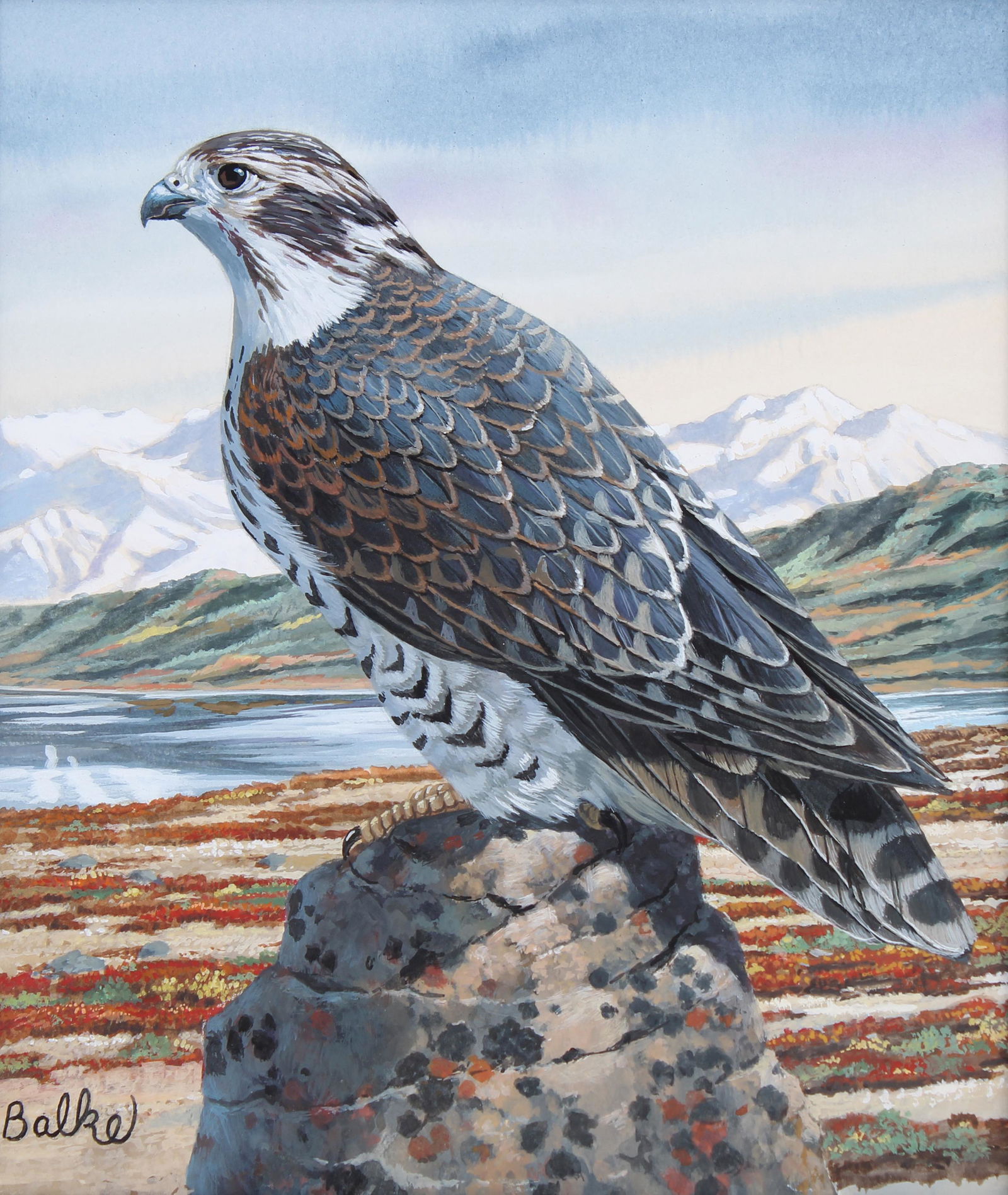 Don Balke (B. 1933) "Gyrfalcon": Don Balke (North Carolina, B. 1933) "Gyrfalcon" Signed lower left. Original Watercolor on Illustration Board. Provenance: Collection of James A. Helzer (1946-2008), Founder of Unicover Corporation. Th