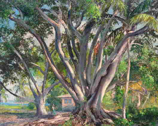 Oil Paintings
