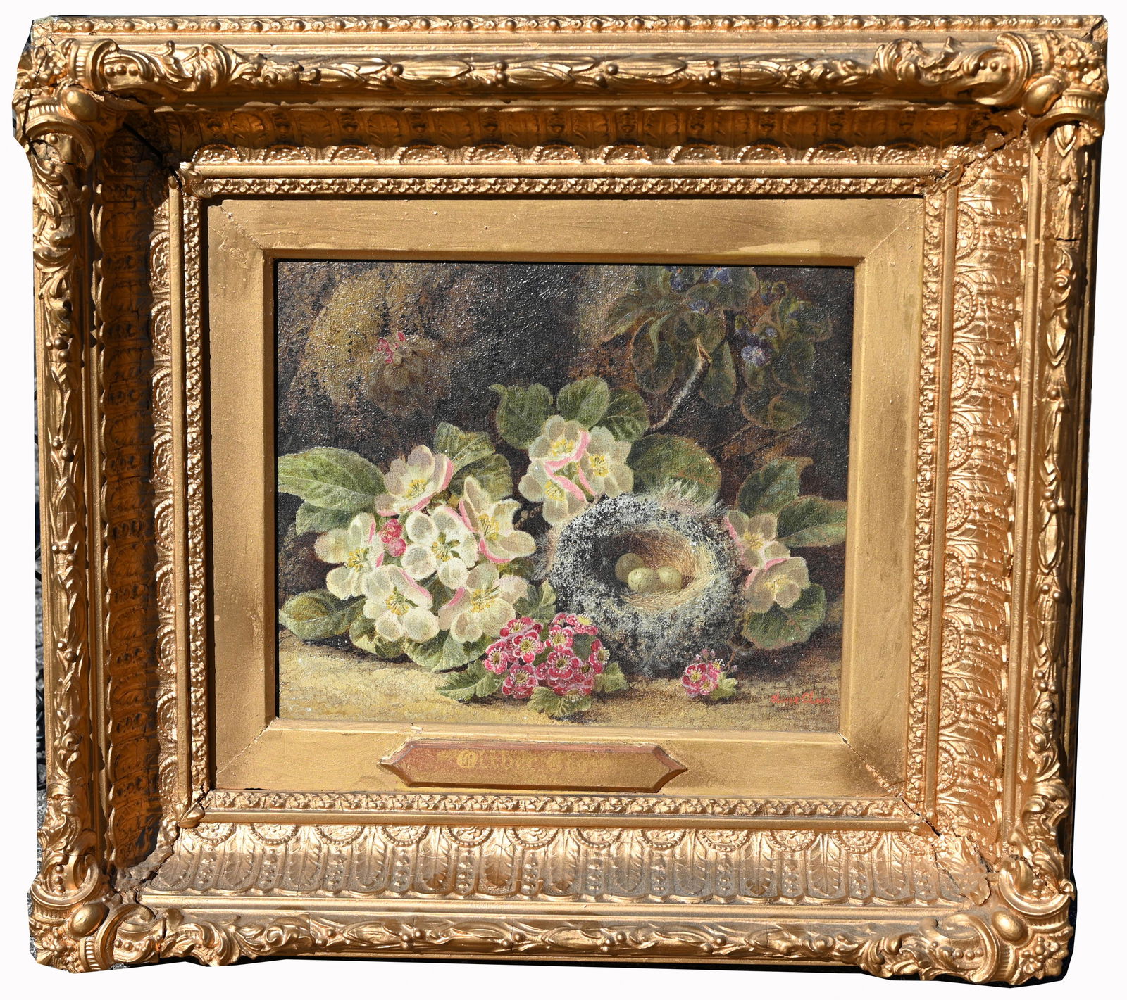 Oliver Clare (1853 - 1927) "Still Life": Oliver Clare (UK, 1853 - 1927) "Still Life w/ Birds Nest" Oil on Canvas. Signed lower right. Has been relined. Sight Size: 10 1/8 x 12 in. Overall Framed Size: 19.25 x 21.25 x 4 in.