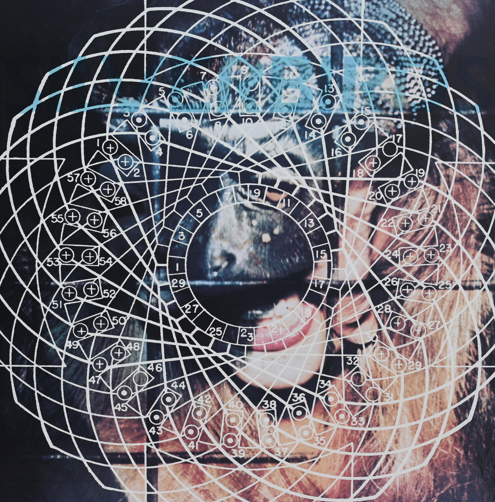 James Rosenquist (1933-2017) "Silverbirds" (1 of 4)