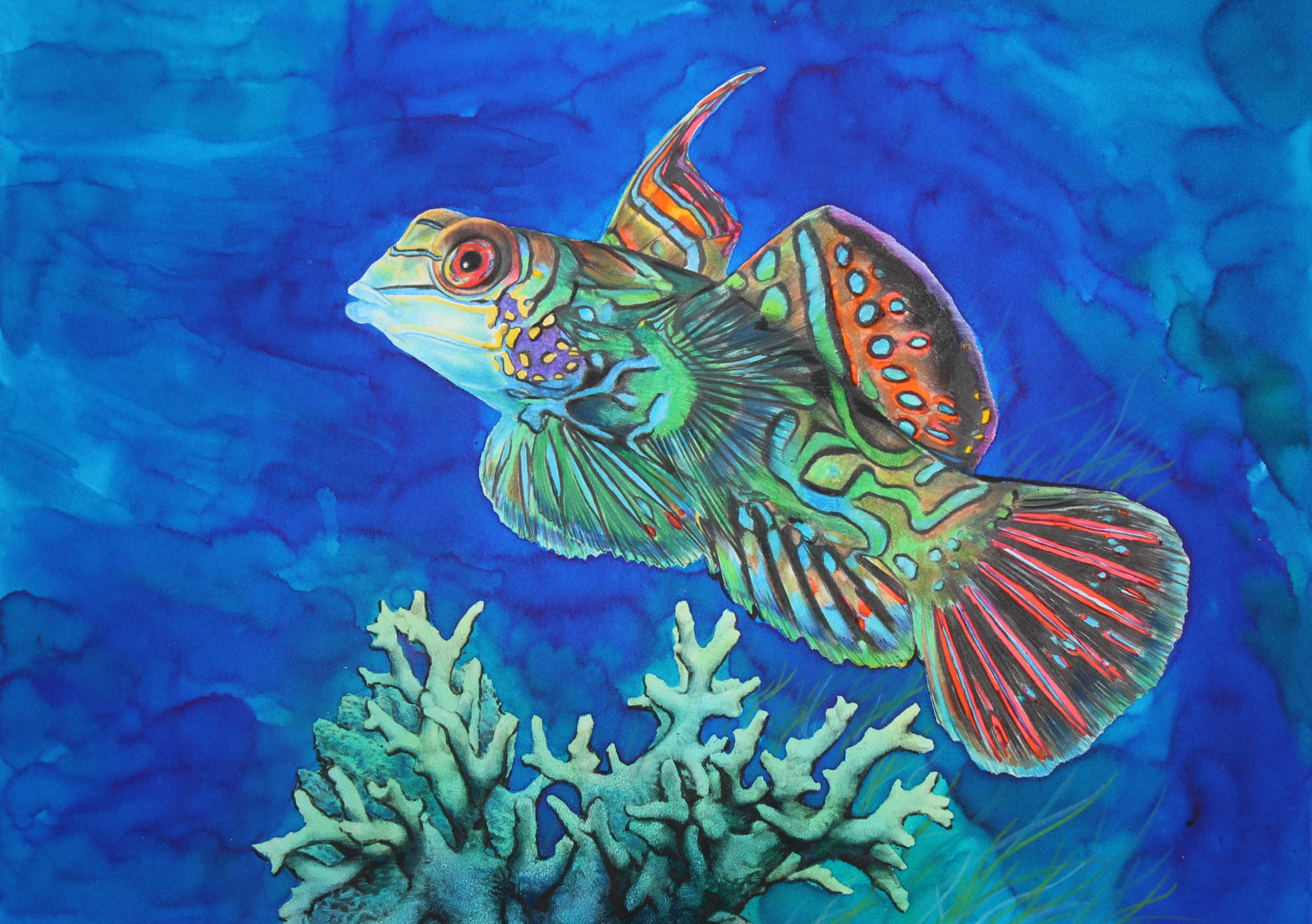Chris Calle (B. 1961) "Mandarinfish": Chris Calle (American, B. 1961) "Mandarinfish" Signed lower right. Original Mixed Media on Illustration Board. Provenance: Collection of James A. Helzer (1946-2008), Founder of Unicover Corporation. T