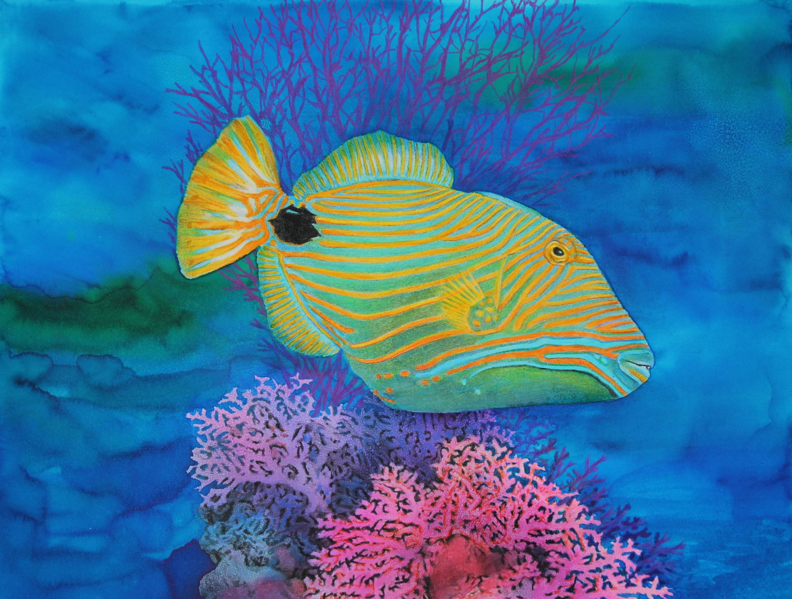 Chris Calle (B. 1961) "Orangestriped Triggerfish": Chris Calle (American, B. 1961) "Orangestriped Triggerfish Swimming" Signed lower right. Original Mixed Media on Illustration Board. Provenance: Collection of James A. Helzer (1946-2008), Founder of U