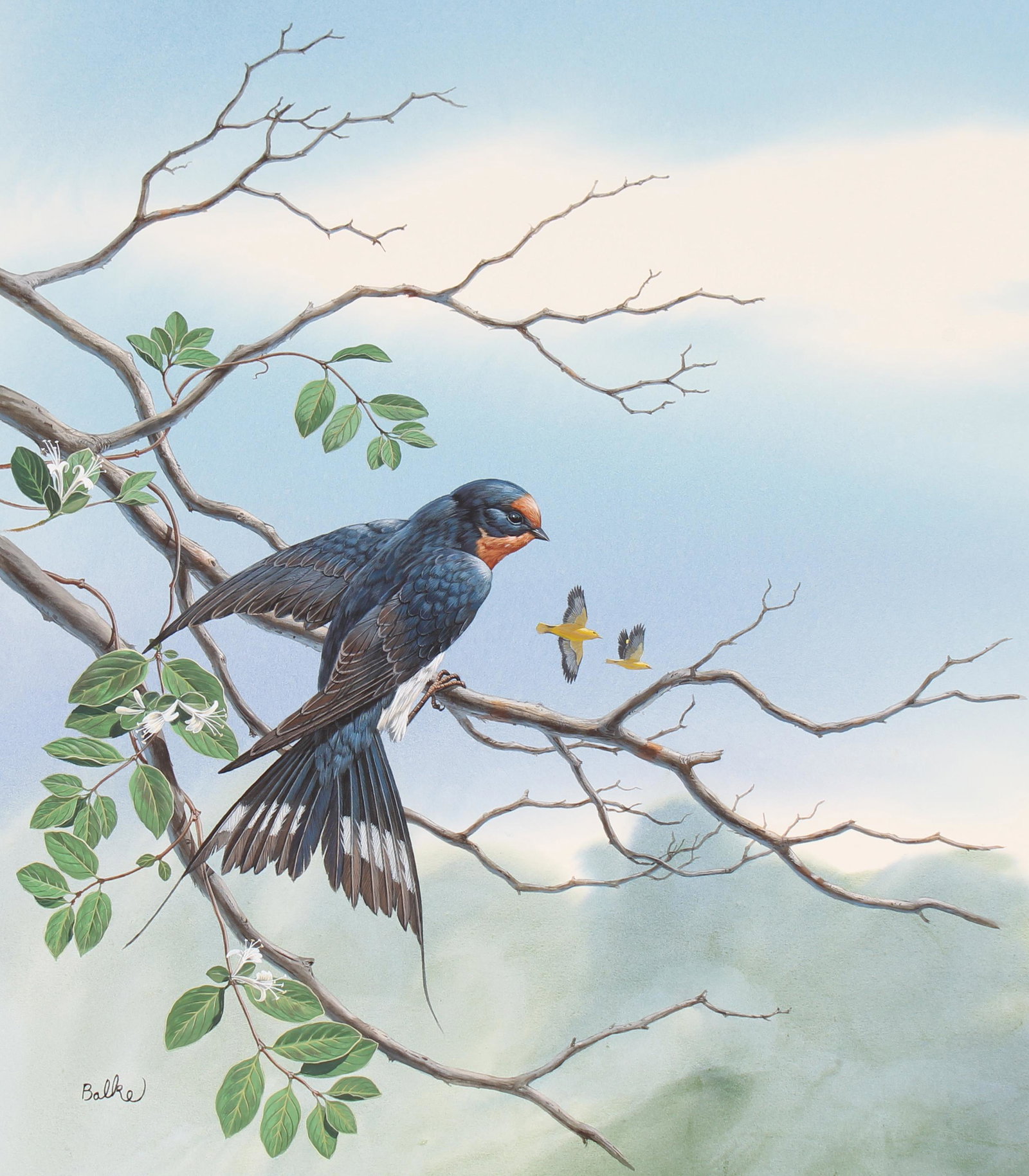 Don Balke (B. 1933) "Barn Swallow": Don Balke (North Carolina, B. 1933) "Barn Swallow" Signed lower left. Original Watercolor on Illustration Board. Provenance: Collection of James A. Helzer (1946-2008), Founder of Unicover Corporation.