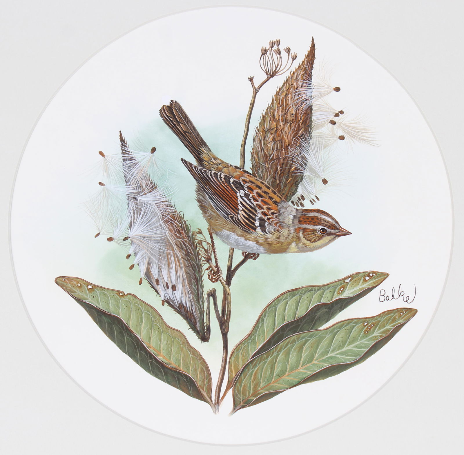 Don Balke (B. 1933) "Field Sparrow" (1 of 5)