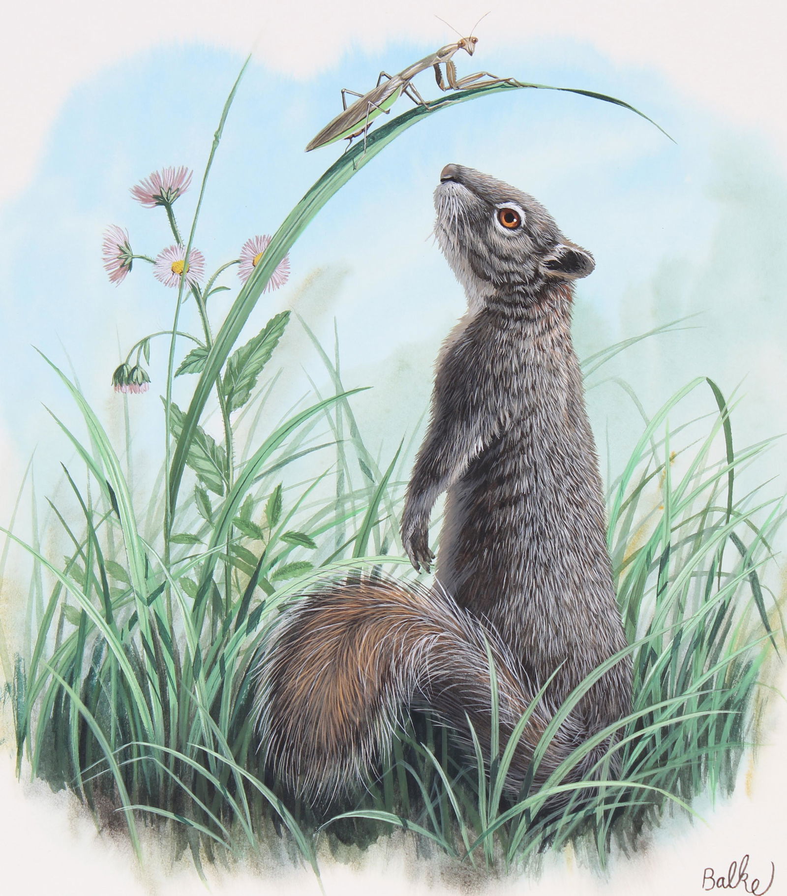 Don Balke (B. 1933) "Gray Squirrel" (1 of 4)