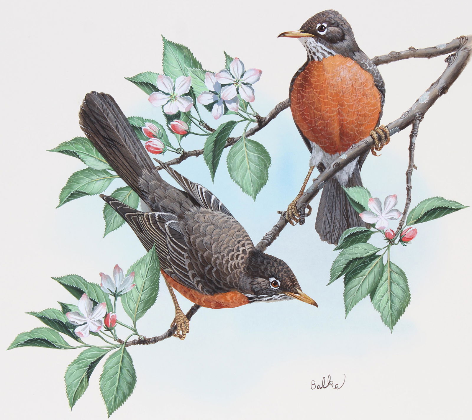 Don Balke (B. 1933) "Robin and Apple Blossom" (1 of 4)