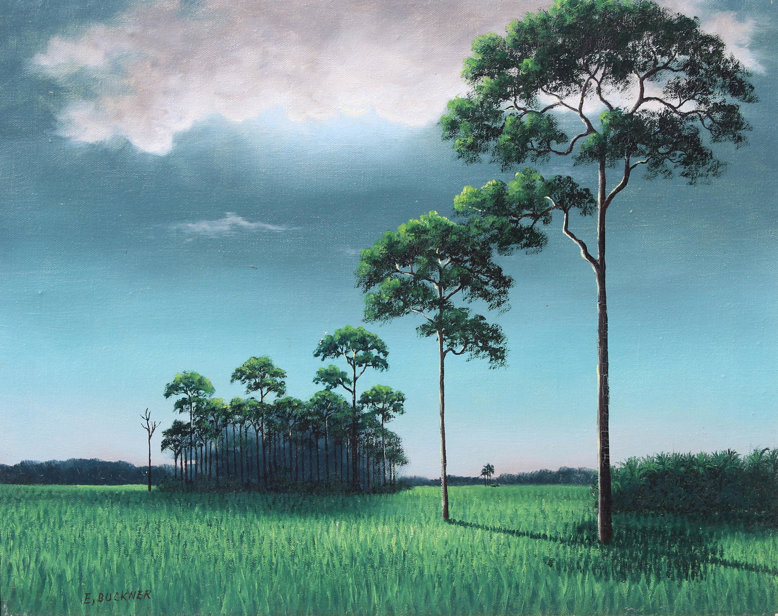 Ellis Buckner (1943 - 1991) Highwayman: Ellis Buckner (Florida, 1943 - 1991) Florida Highwayman Backwoods Painting. Oil on Canvas. Signed lower left. Sight Size: 16 x 20 in. Overall Framed Size: 22.5 x 26.5 in.