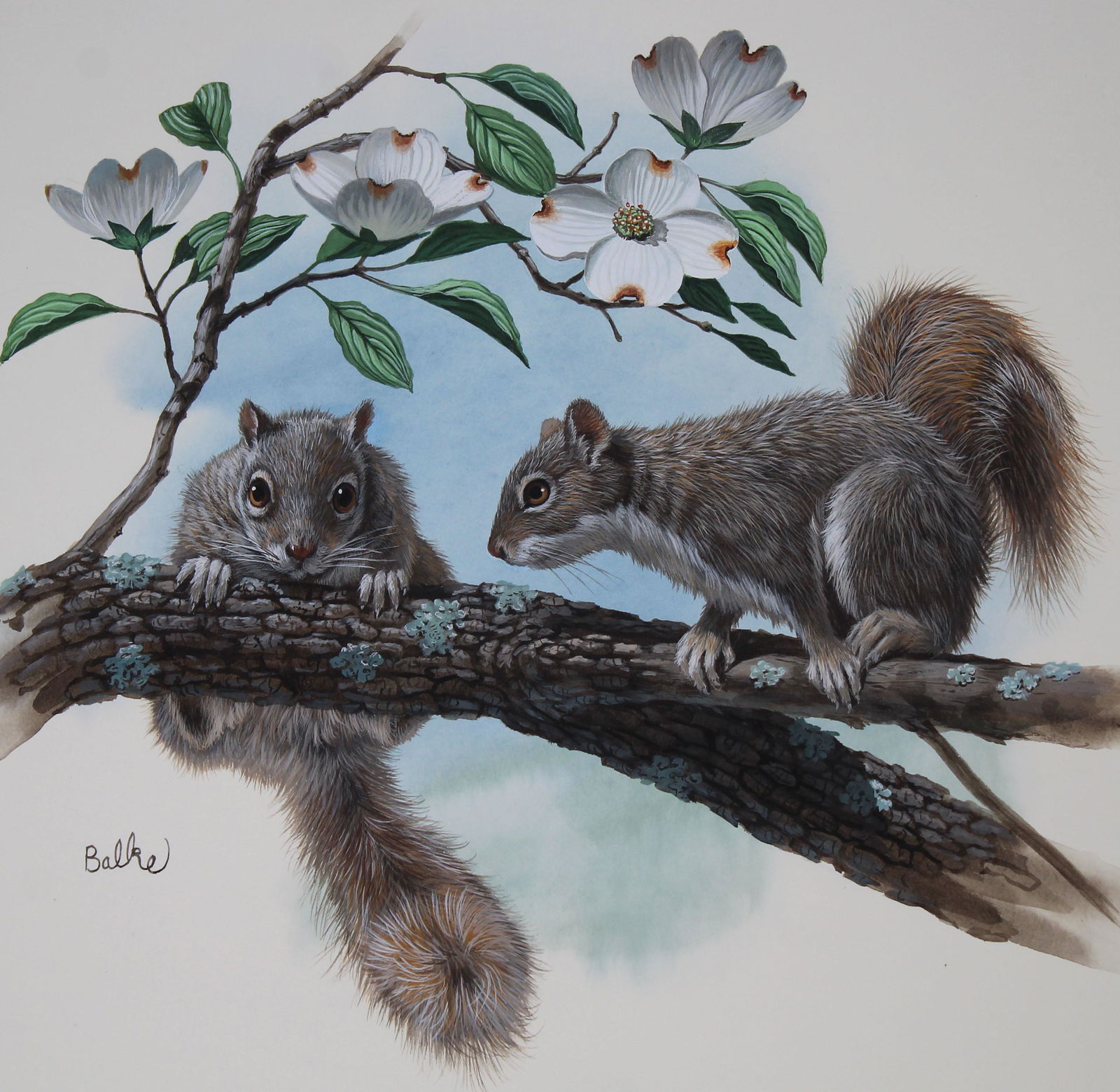 Don Balke (B. 1933) "Gray Squirrel" (1 of 4)