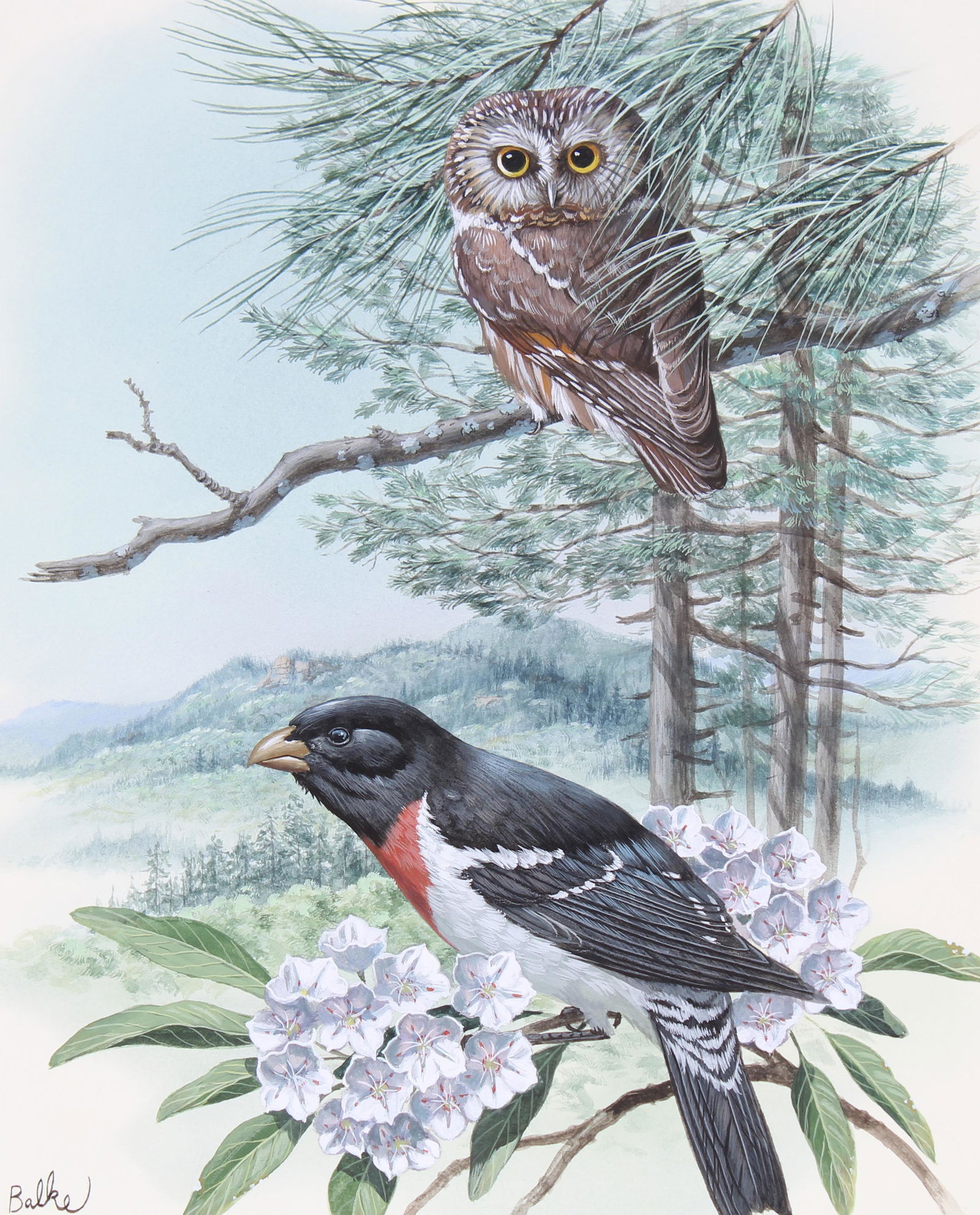 Don Balke (B. 1933) "Owl and Grosbeak" W/C: Don Balke (North Carolina, B. 1933) "Owl and Grosbeak" Signed lower left. Original Watercolor painting on Illustration Board. Provenance: Collection of James A. Helzer (1946-2008), Founder of Unicover