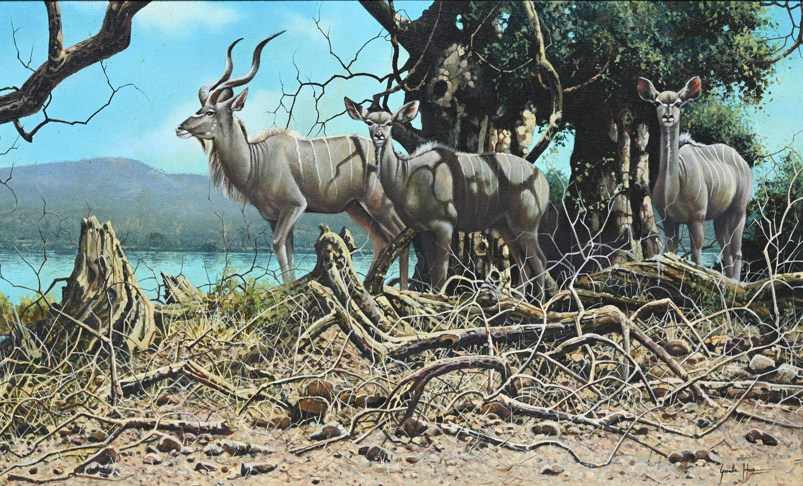 Gareth Hook "Greater Kudu" Original Oil (1 of 6)