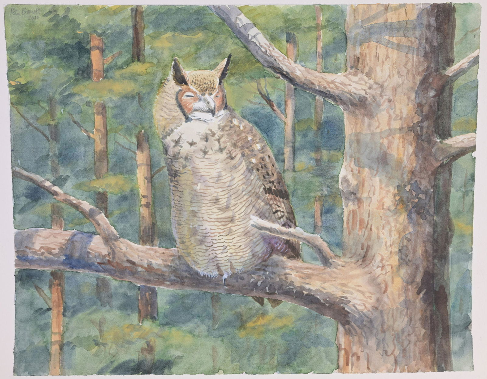 Peter Barrett (B. 1935) "Great Horned Owl" (1 of 5)