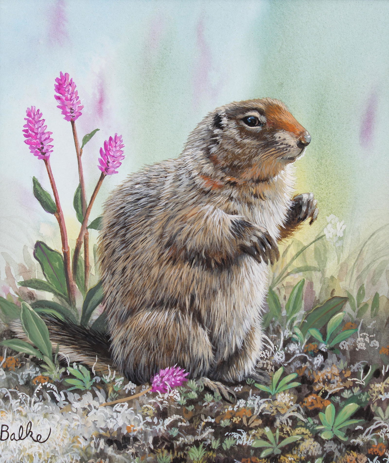 Don Balke (B. 1933) "Ground Squirrel" (1 of 4)