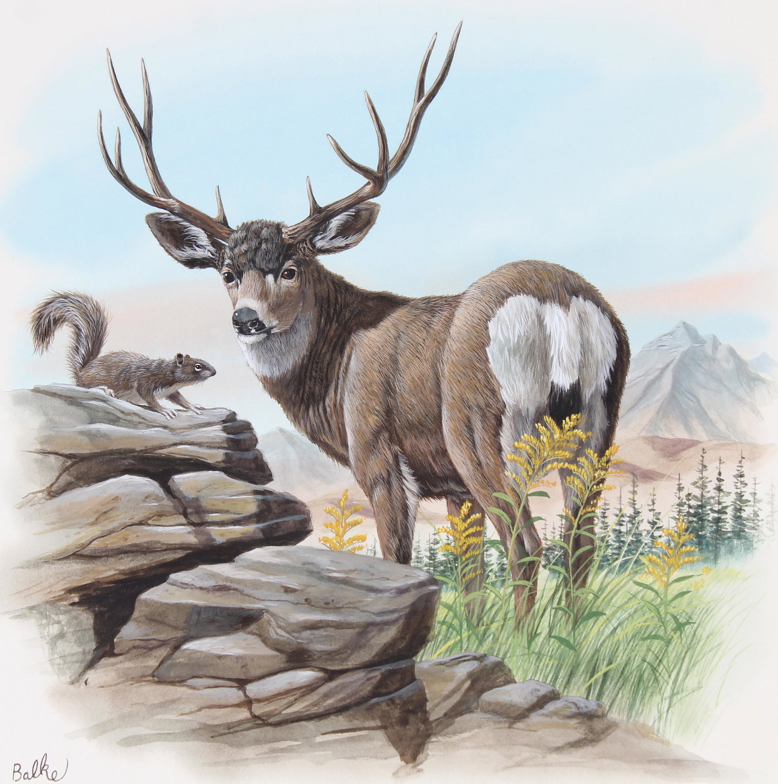 Don Balke (B. 1933) "Mule Deer" (1 of 4)