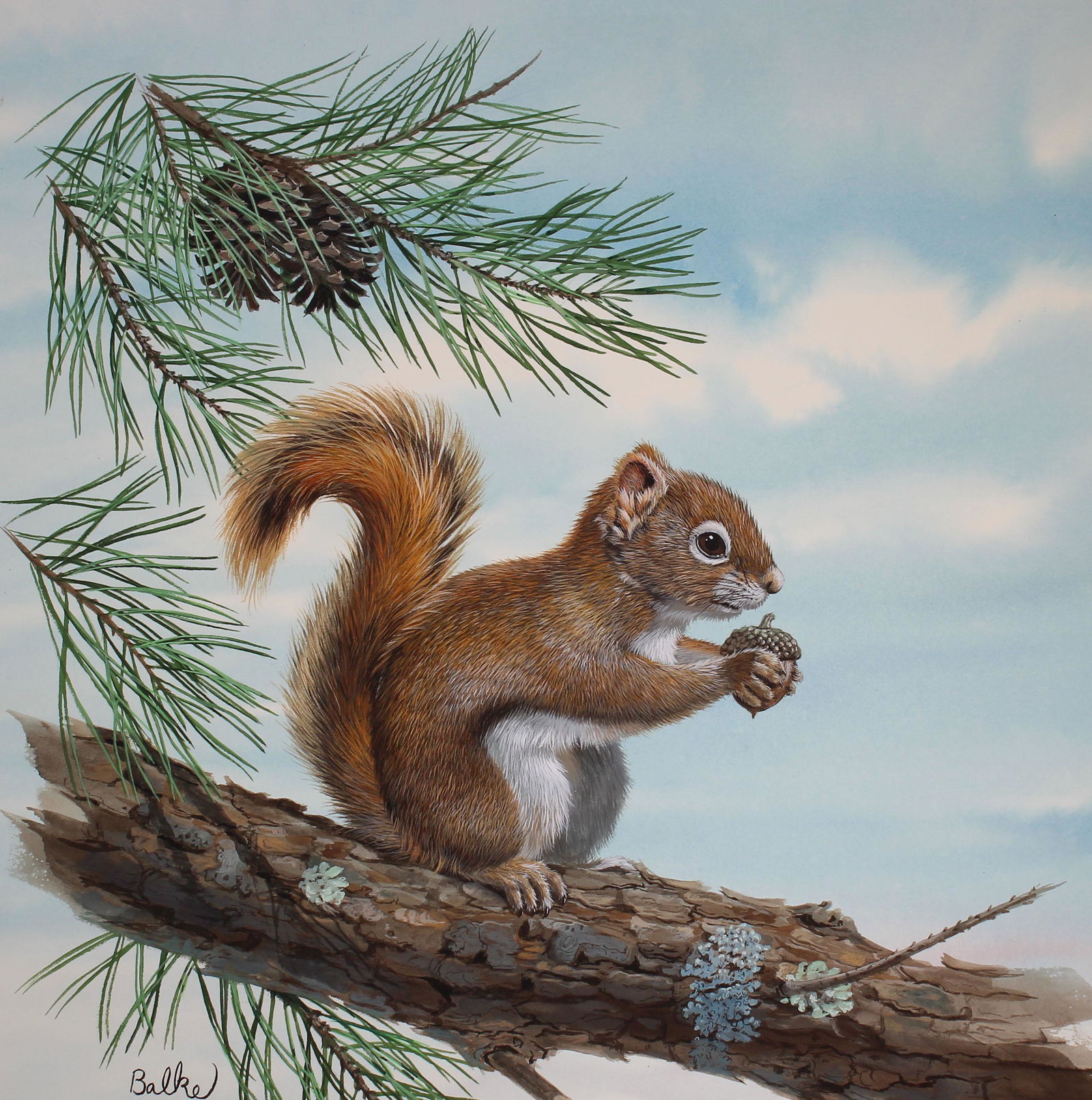 Don Balke (B. 1933) "Red Squirrel" (1 of 4)