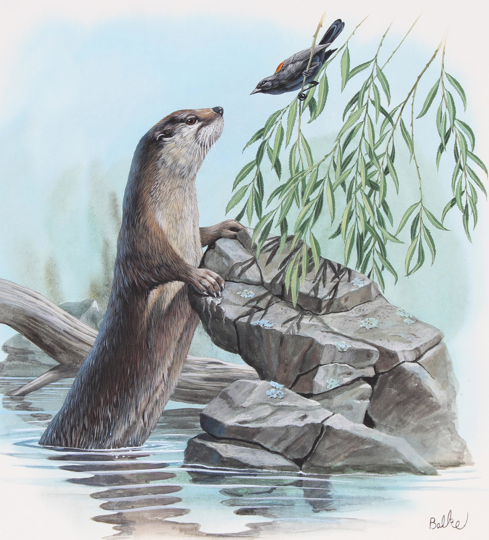 Don Balke (B. 1933) "River Otter": Don Balke (North Carolina, B. 1933) "River Otter" Signed lower right. Original Watercolor on Illustration Board. Provenance: Collection of James A. Helzer (1946-2008), Founder of Unicover Corporation.