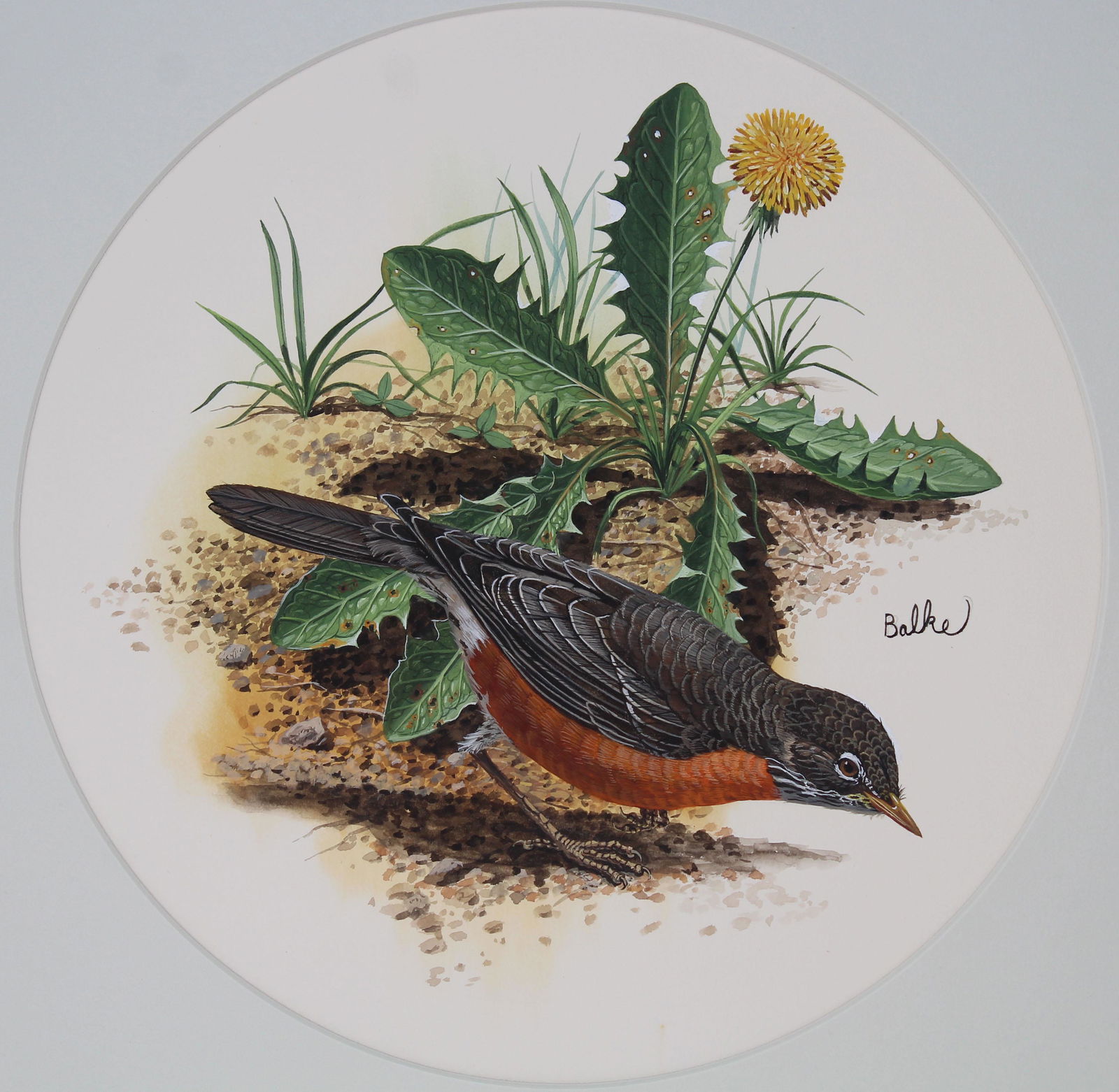 Don Balke (B. 1933) "Robin" (1 of 3)