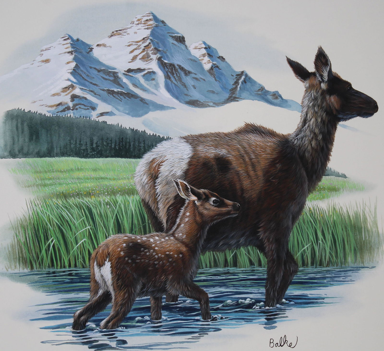 Don Balke (B. 1933) "Rocky Mountain Elk" (1 of 4)