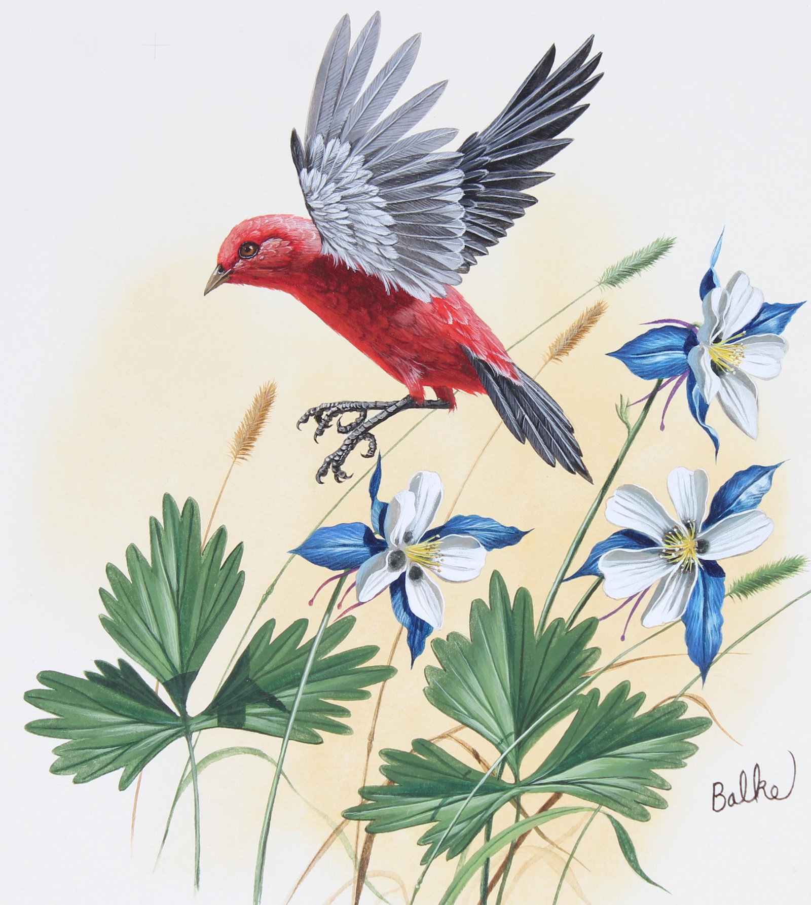 Don Balke (B. 1933) "Scarlet Tanager": Don Balke (North Carolina, B. 1933) "Scarlet Tanager" Signed lower right. Original Watercolor on Illustration Board. Provenance: Collection of James A. Helzer (1946-2008), Founder of Unicover Corporat