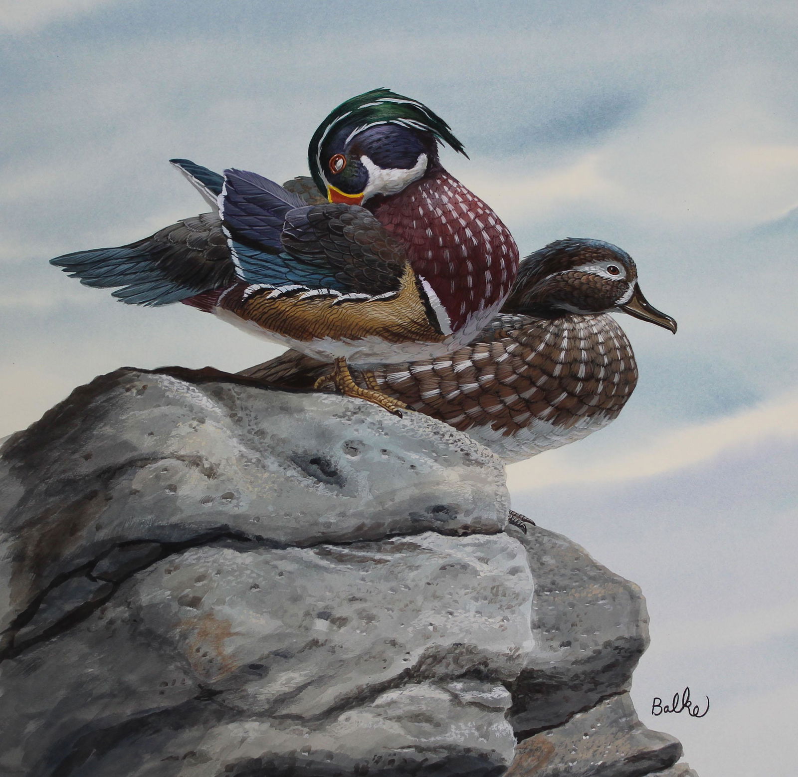 Don Balke (B. 1933) "Wood Duck Pair" (1 of 4)