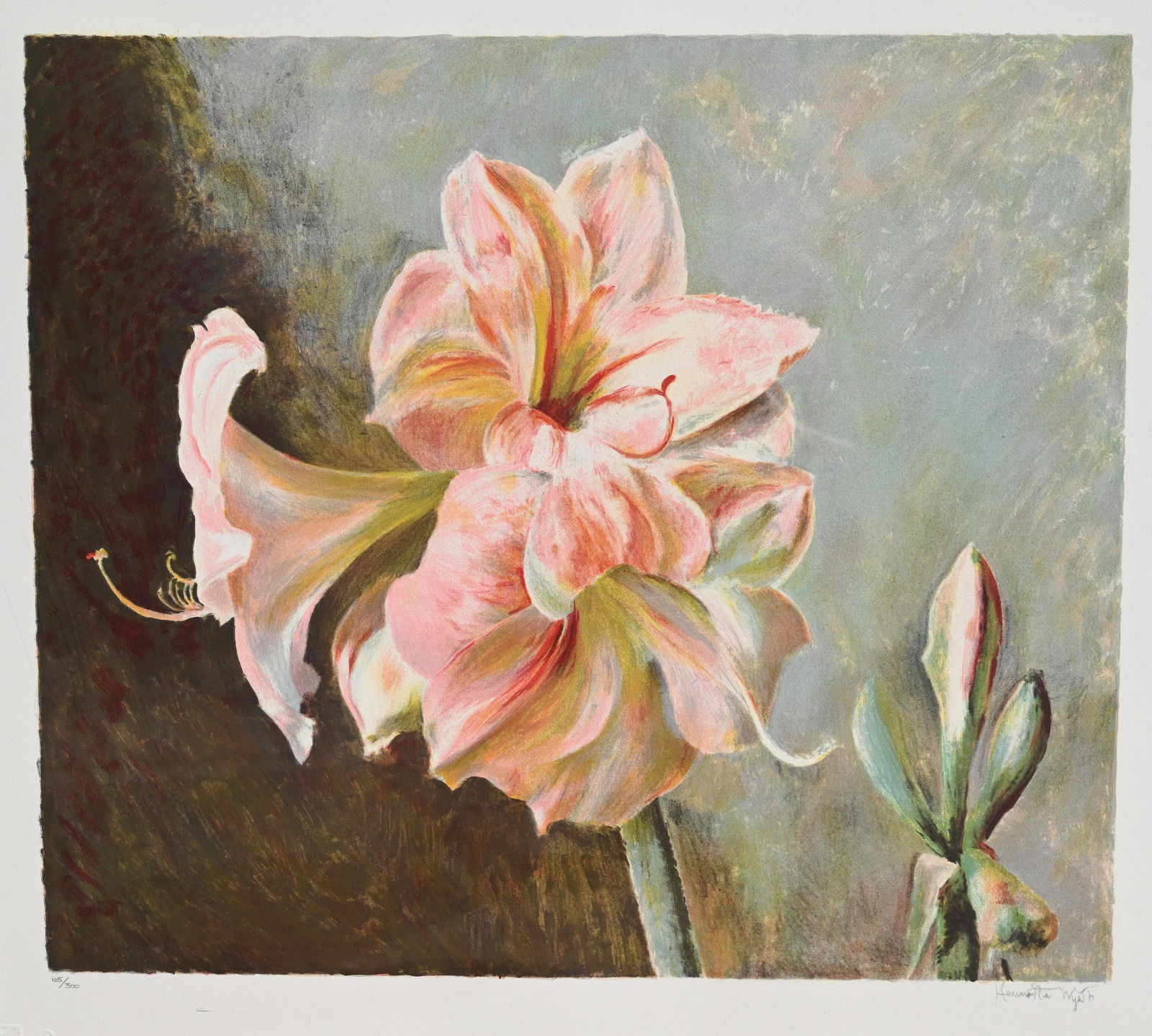 Henrietta Wyeth Color Lithograph, Pink Amaryllis (1 of 4)