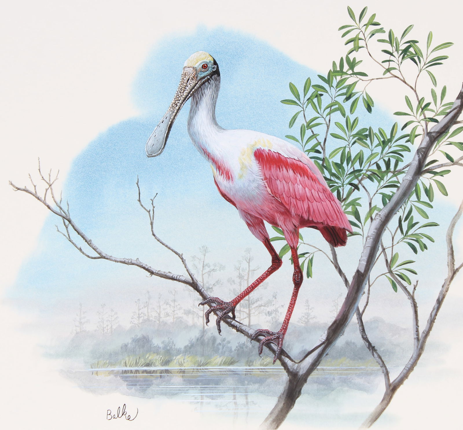 Don Balke (B. 1933) "Roseate Spoonbill" (1 of 4)