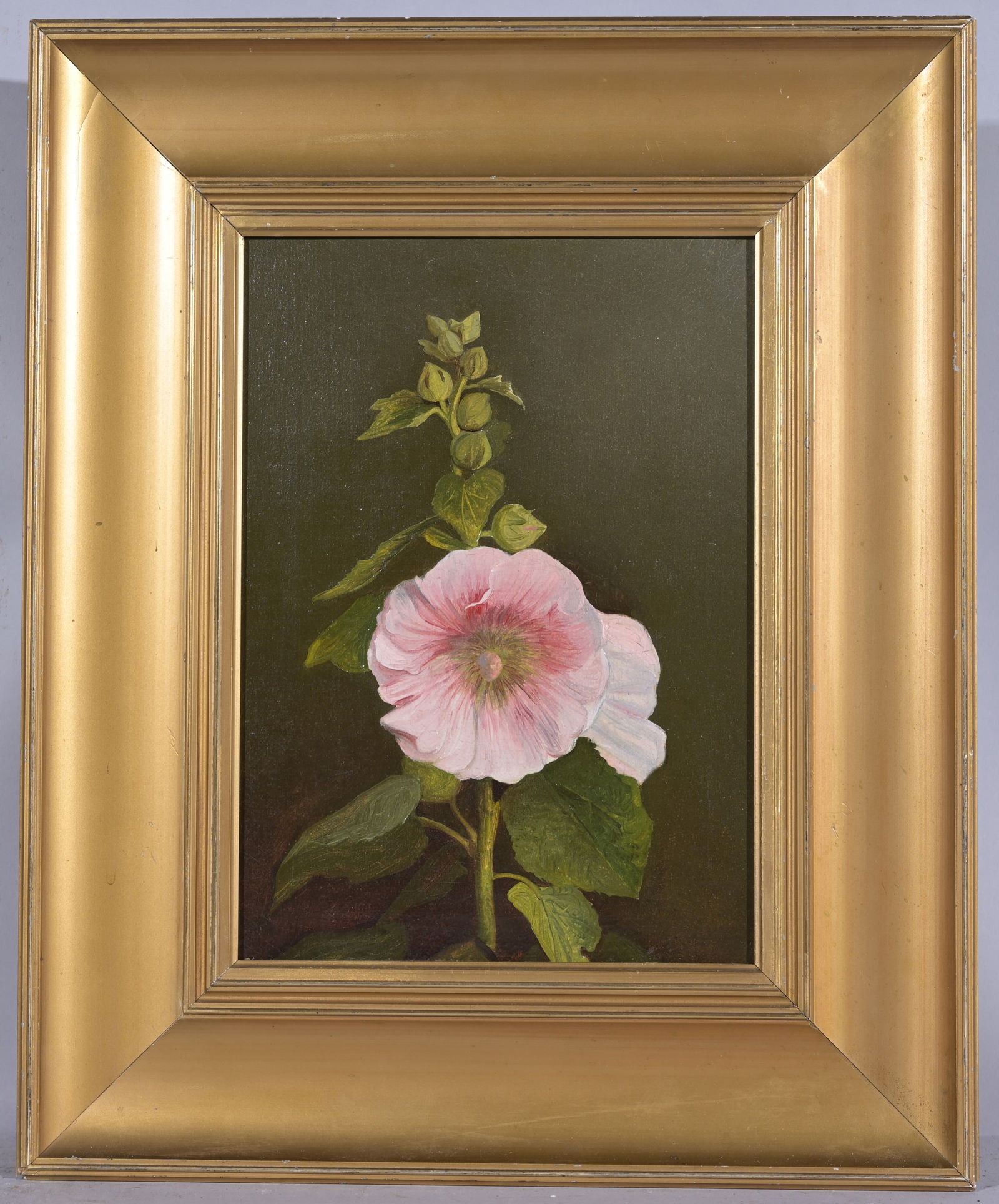 Attri to Martin Johnson Heade, Flower study, 14x10 (1 of 3)
