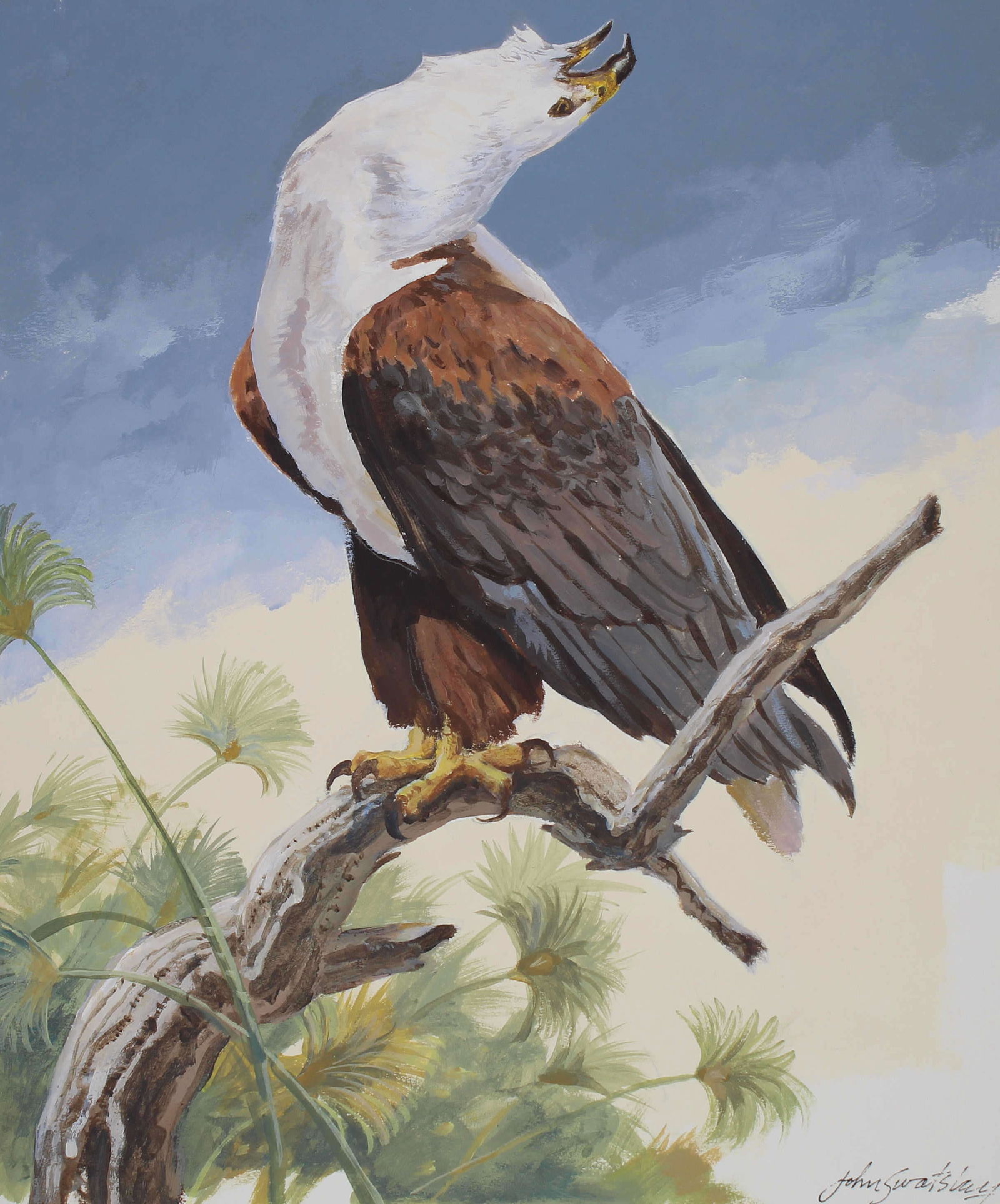 John Swatsley (B. 1937) "African Fish Eagle" (1 of 4)