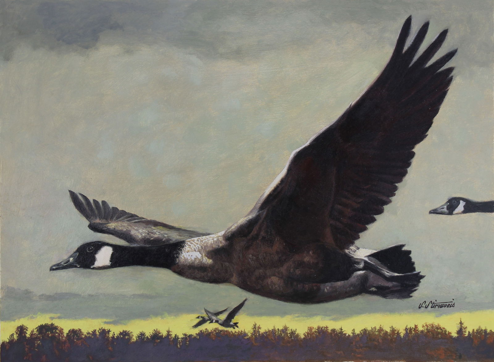 Shannon Stirnweis (B. 1931) Canada Goose (1 of 4)