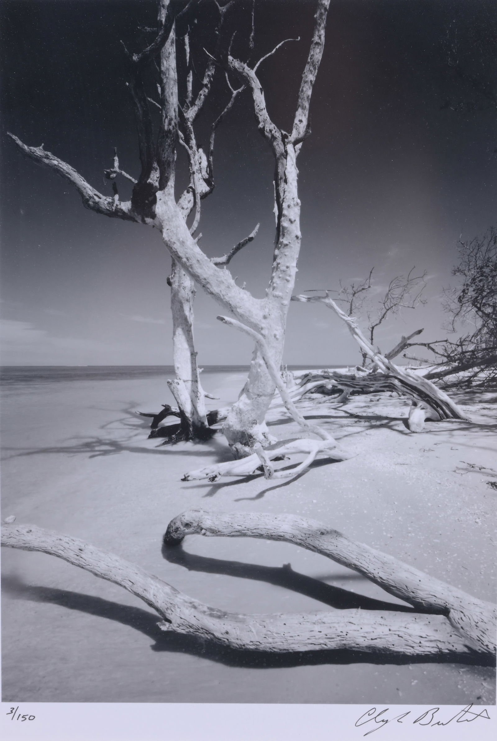 Clyde Butcher (b. 1941) "Cayo Costa #2" (1 of 5)