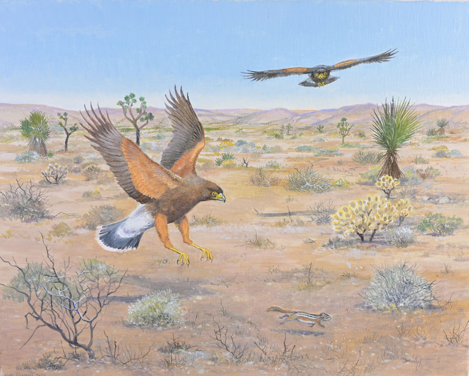 Peter Barrett (British, B. 1935) "Harris's Hawk" (1 of 6)