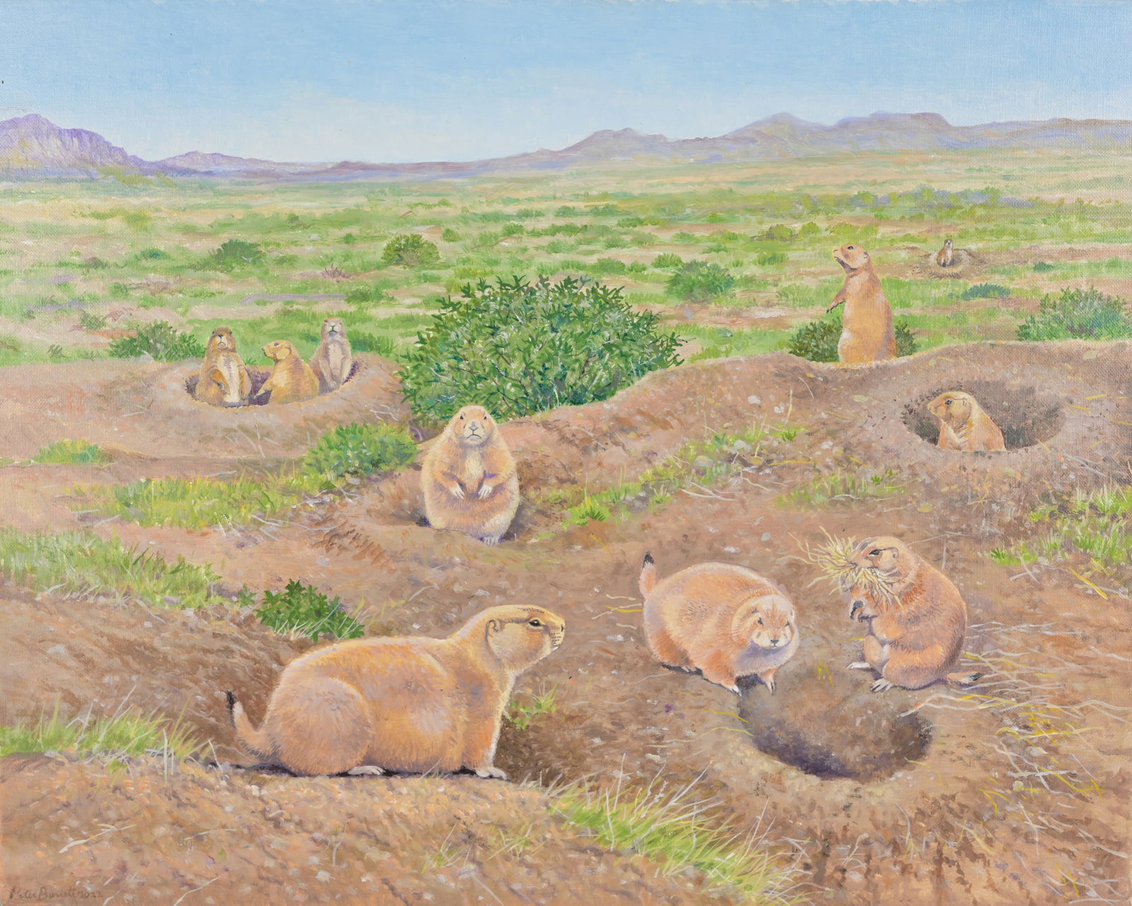 Peter Barrett (B. 1935) "Black-Tailed Prarie Dog" (1 of 8)